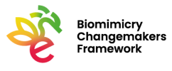 BCF Biomimicry