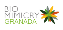 Biomimicry Granada